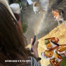 웅비성 | 일주일에 성심당 두 번 가는 대전인