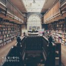 영종국제도시부동산공인중개사사무소 이미지