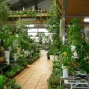 녹색화원 이미지