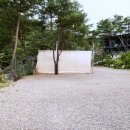 소나무세상 | 춘천 글램핑 춘천 캠핑장 추천 소나무 세상 캠핑 사이트 명당 후기