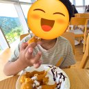 (주)하이원 | 정선 하이원 여행 7살 아이와 함께 | 하이원 워터월드 밸리콘도