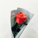 꽃한송이