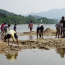 다압초등학교 이미지