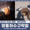 신동-114 이미지