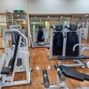 다이나포스헬스클럽 이미지