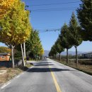 단산보건지소 이미지