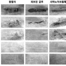 헬스앤라이프 이미지