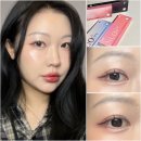 실패 없는 데일리렌즈 렌즈미 누오 원데이 브라운 &amp; 초코 &amp; 그레이 &amp; 블랙 4종 재구매템 추천
