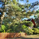 스테이느릿 이미지