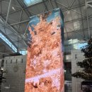 11545-05-01-53 | [칸쿤 신혼여행] #01｜샌프란시스코 경유 방법 &amp; 칸쿤 입성 후기