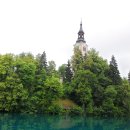 퐁당퐁당 이미지