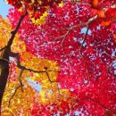 금송사우나 이미지