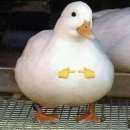 공간이유