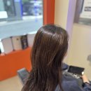 대전 탄방동 염색 잘하는 미용실 [붉은기 제로 토프 브라운 톤다운 후기]
