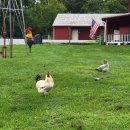 동부농장 이미지