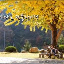 야시대로 이미지