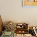 마롱스테이 이미지