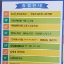 나성동_명동프라자앞BRT 네이버블로그
