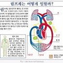 팜 (palm) 이미지