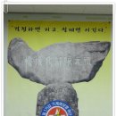 65여단