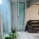 현대샷슈 이미지