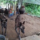 호범농장 이미지