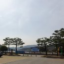 동천상사 이미지