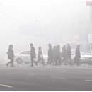 연소자연농장 이미지