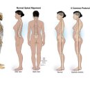 바디셀프 이미지