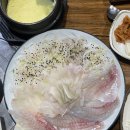 활어종합수족관 | 덤탱이 없이 제철 갑오징어 회를 합리적인 가격에 먹을수있는 '군산 수산물 종합센터' 내돈내산 솔직후기