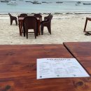 1234피시 이미지