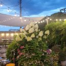 우리바다 민박 이미지