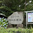 미로미디어 | 제주 동쪽 가볼만한곳 메이즈랜드 야외 미로와 서천꽃밭 후기