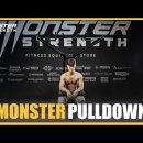 몬스터 풀다운(Monster Pull Down) 이미지