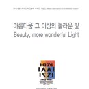 2013 광주디자인비엔날레 국제전 기념전 ‘아름다움 그 이상의 놀라운 빛’展 이미지