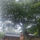 108산사 순례 제36사찰 남해 용문사(2026. 8. 17. 월요일) 이미지