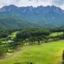 소노벨, 소노문 델피노 이미지