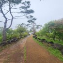 백마정비 이미지