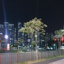 빨간석쇠구이안산 네이버블로그