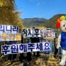 정치후원금