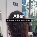 헤어바이원 이미지