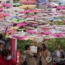 AP_Avenue 이미지