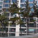 성림내과의원 이미지