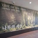 건축목공소 | 서울 전시 추천, 나무의시간 내촌목공소 남희조 허회태 관람 후기