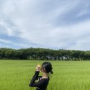 풍년아그로 이미지