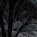 심포니성형외과의원 이미지