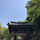 송천리 미륵불 | [문갓의 여행지] 익산 함라산 숭림사(22.05.16) - 마음의 편안함을 주는 곳, 어떠세요?