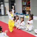 하늘빛 태권도 이미지