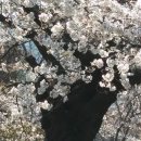 구두병원 이미지