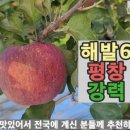 원재농장 이미지